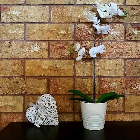 Princess Garden וילה סיווירי