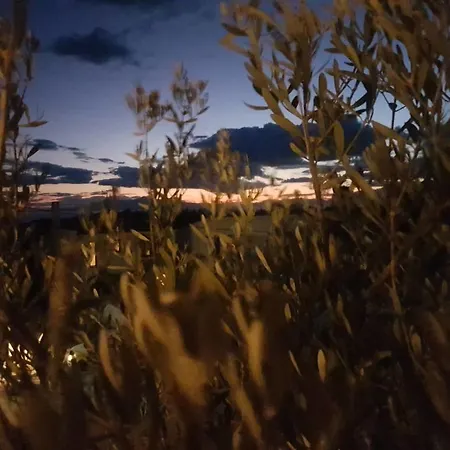 Princess Garden * סיווירי