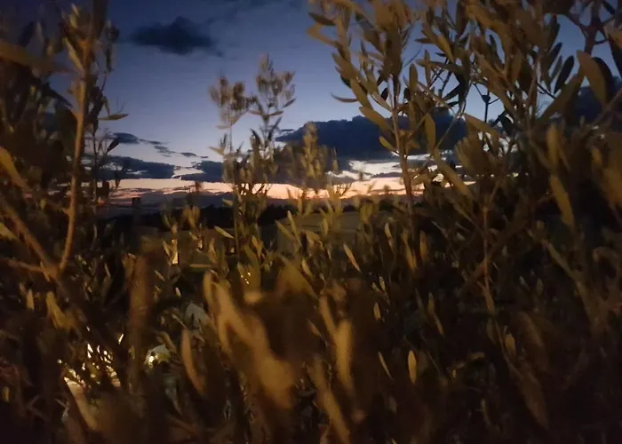 Princess Garden * Siviri